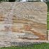 pate marble peach peacock tree baby headstone gravestone monument