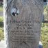 tilly tree oak and acorns headstone