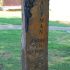 kaufman brown basalt natural vertical tall headstone