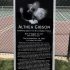 althea gibson tennis civil rights monument